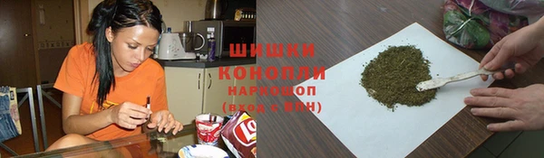 прущие крисы Белокуриха