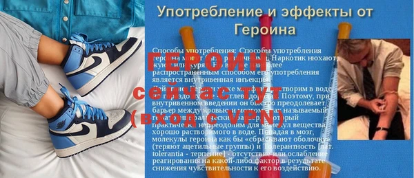прущие крисы Белокуриха
