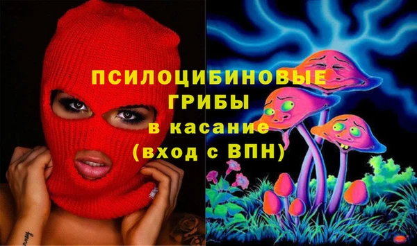 прущие крисы Белокуриха