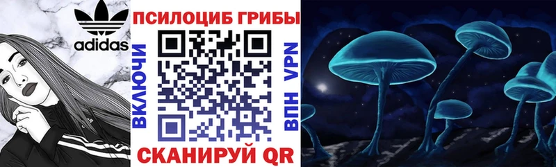 Купить  Кяхта  Псилоцибиновые грибы прущие грибы 